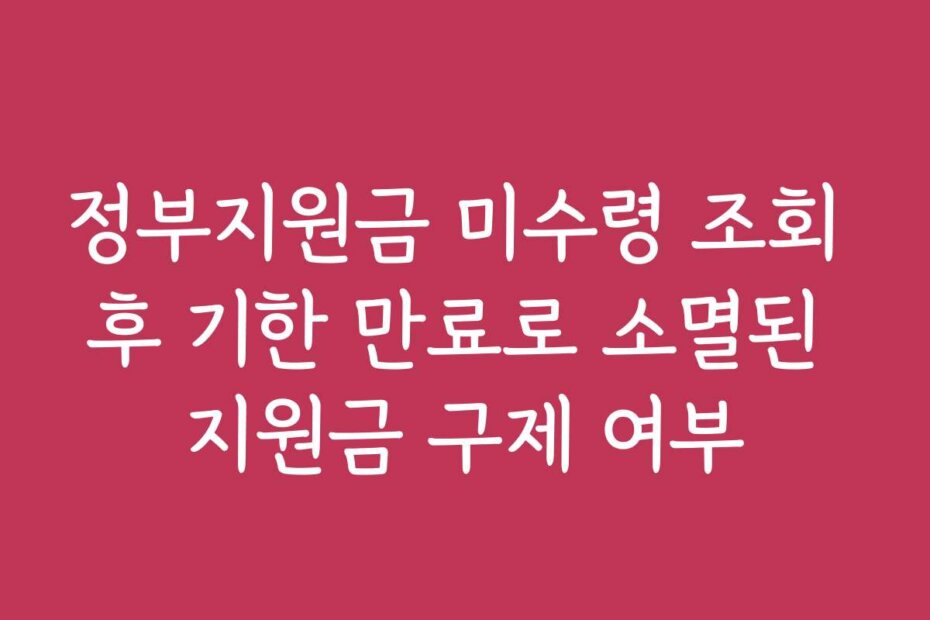 정부지원금 미수령 조회 후 기한 만료로 소멸된 지원금 구제 여부