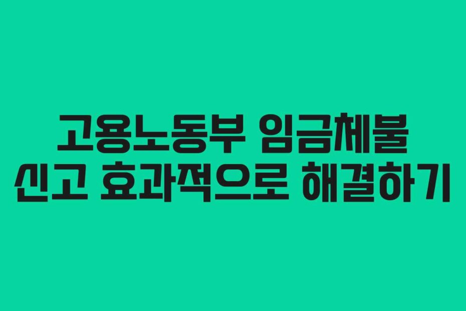 고용노동부 임금체불 신고 효과적으로 해결하기