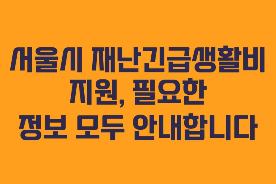 서울시 재난긴급생활비 지원, 필요한 정보 모두 안내합니다