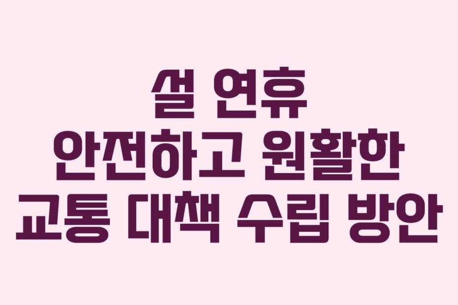 설 연휴 안전하고 원활한 교통 대책 수립 방안