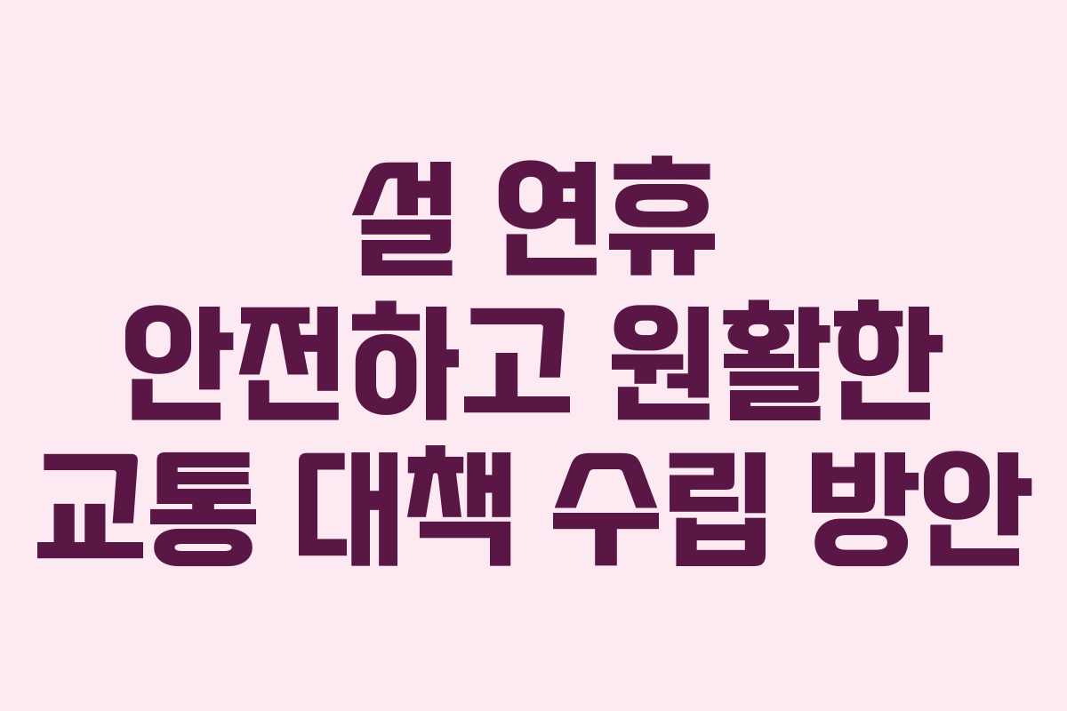 설 연휴 안전하고 원활한 교통 대책 수립 방안