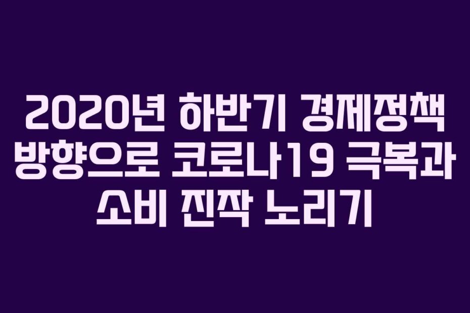 2020년 하반기 경제정책 방향으로 코로나19 극복과 소비 진작 노리기