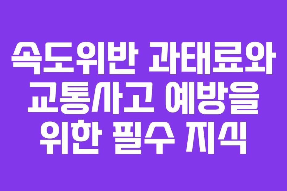 속도위반 과태료와 교통사고 예방을 위한 필수 지식