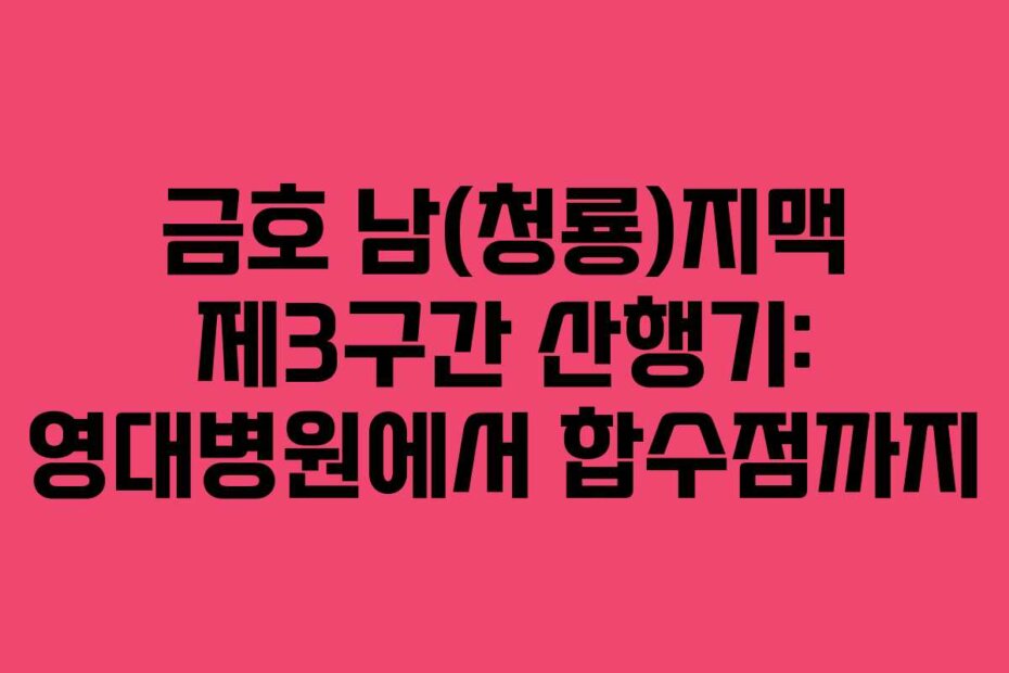 금호 남(청룡)지맥 제3구간 산행기: 영대병원에서 합수점까지