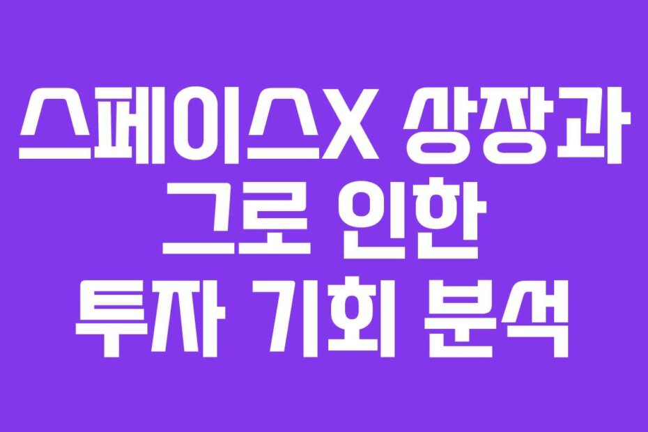 스페이스X 상장과 그로 인한 투자 기회 분석