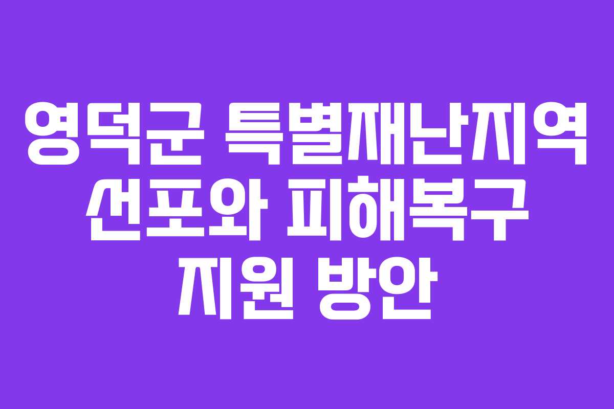 영덕군 특별재난지역 선포와 피해복구 지원 방안