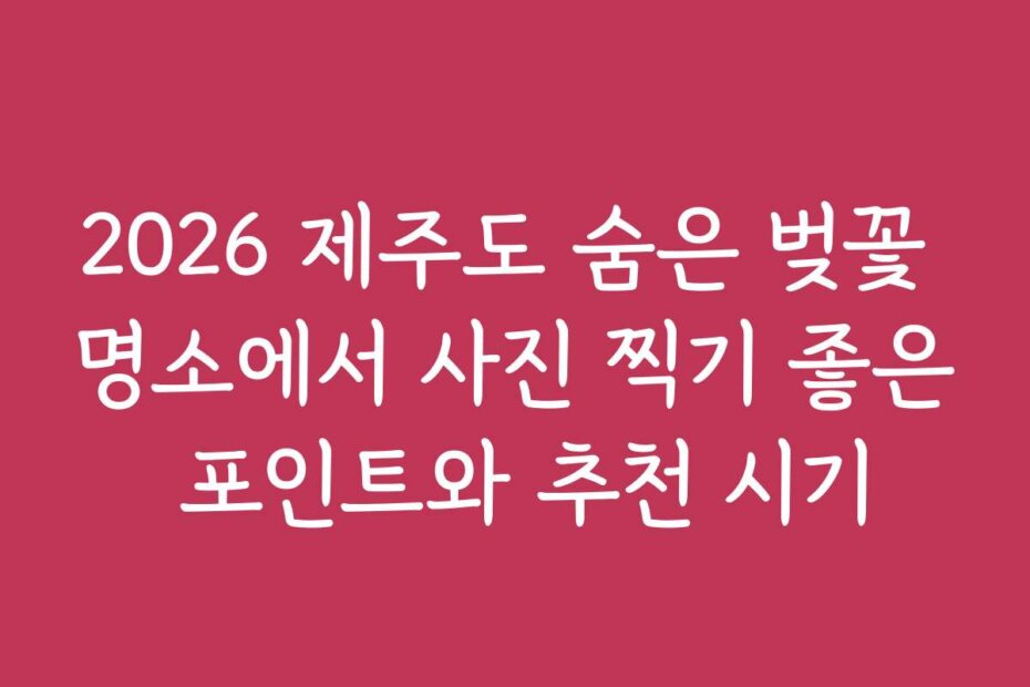 2026 제주도 숨은 벚꽃 명소에서 사진 찍기 좋은 포인트와 추천 시기