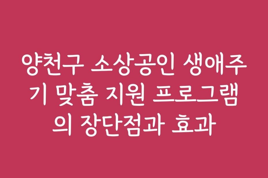 양천구 소상공인 생애주기 맞춤 지원 프로그램의 장단점과 효과
