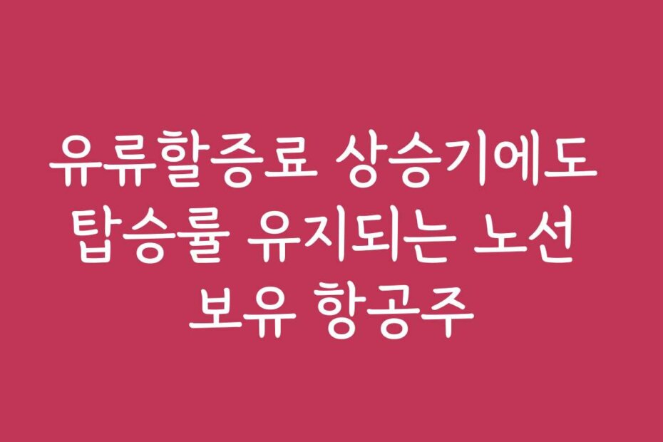 유류할증료 상승기에도 탑승률 유지되는 노선 보유 항공주