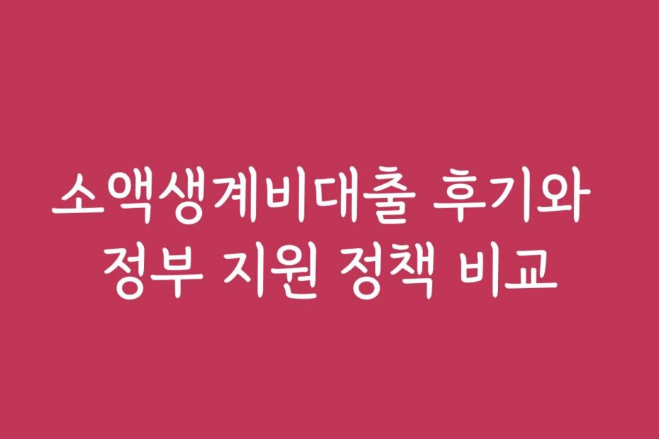 소액생계비대출 후기와 정부 지원 정책 비교 소액생계비대출 후기와 정부 지원 정책 비교