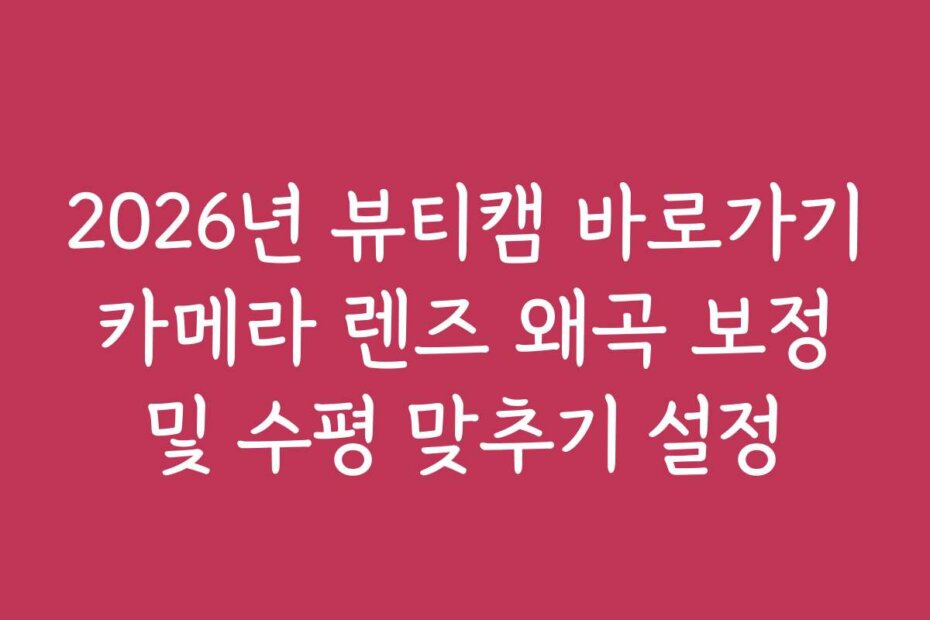 2026년 뷰티캠 바로가기 카메라 렌즈 왜곡 보정 및 수평 맞추기 설정