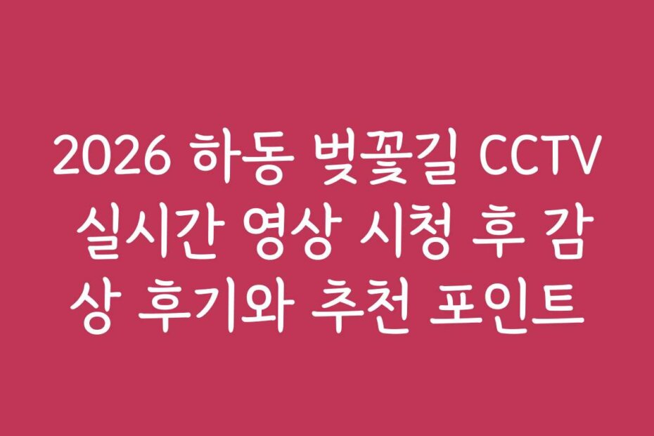 2026 하동 벚꽃길 CCTV 실시간 영상 시청 후 감상 후기와 추천 포인트