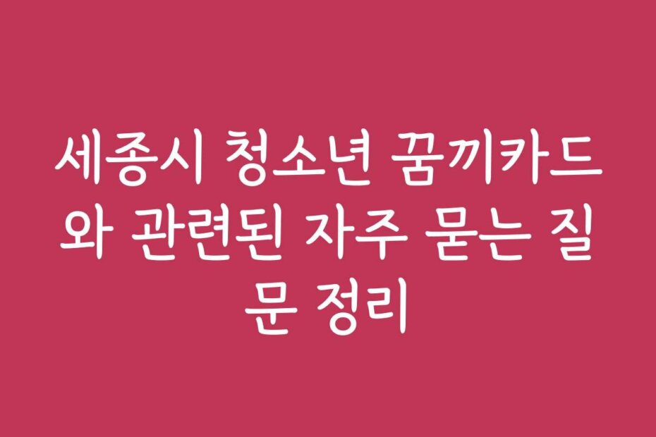 세종시 청소년 꿈끼카드와 관련된 자주 묻는 질문 정리