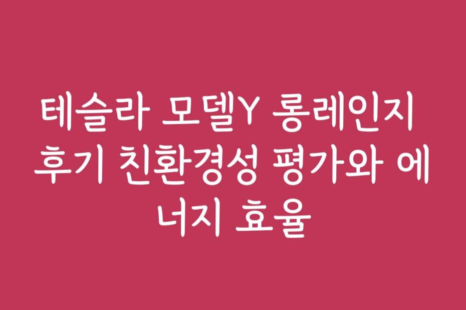 테슬라 모델Y 롱레인지 후기 친환경성 평가와 에너지 효율