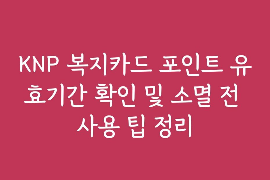 KNP 복지카드 포인트 유효기간 확인 및 소멸 전 사용 팁 정리 KNP 복지카드 포인트 유효기간 확인 및 소멸 전 사용 팁 정리