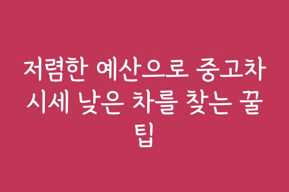 저렴한 예산으로 중고차시세 낮은 차를 찾는 꿀팁