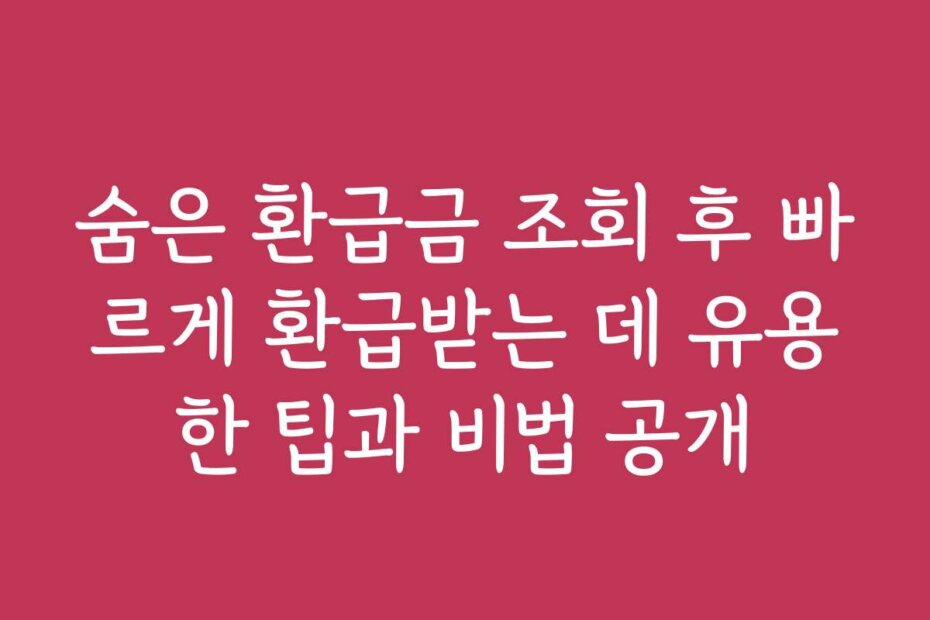 숨은 환급금 조회 후 빠르게 환급받는 데 유용한 팁과 비법 공개