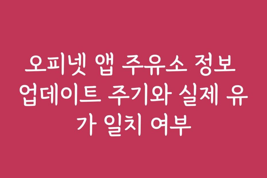 오피넷 앱 주유소 정보 업데이트 주기와 실제 유가 일치 여부