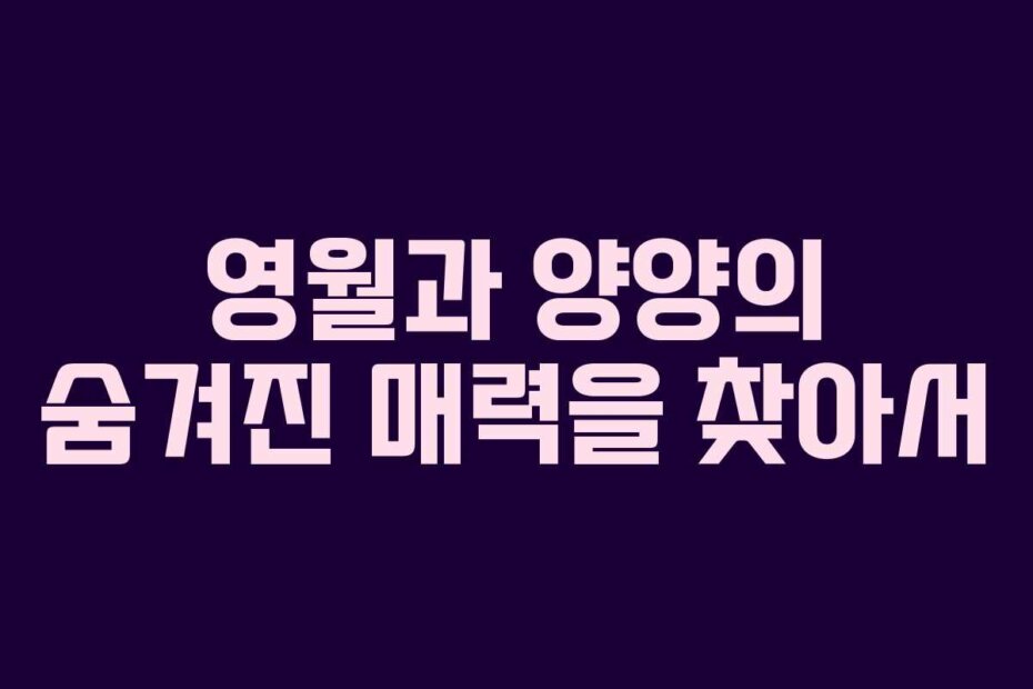 영월과 양양의 숨겨진 매력을 찾아서