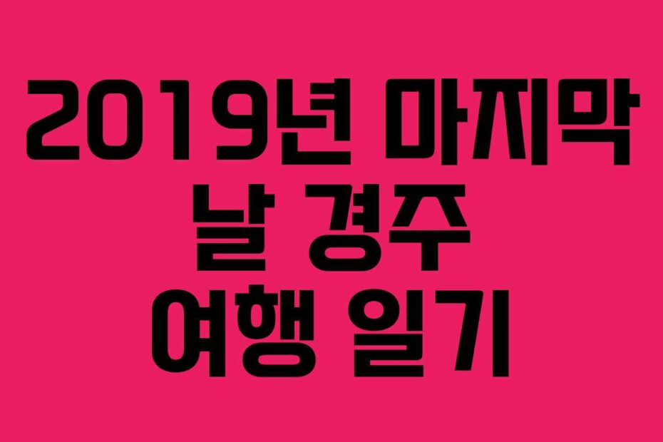 2019년 마지막 날 경주 여행 일기