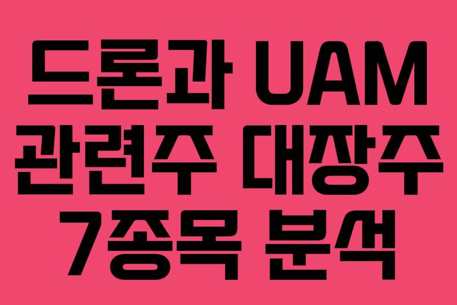 드론과 UAM 관련주 대장주 7종목 분석
