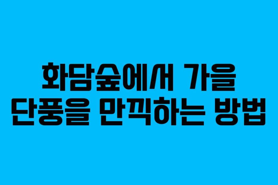 화담숲에서 가을 단풍을 만끽하는 방법