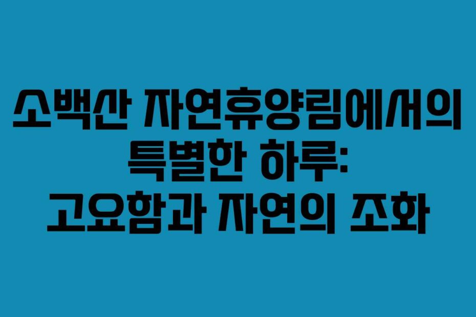 소백산 자연휴양림에서의 특별한 하루: 고요함과 자연의 조화