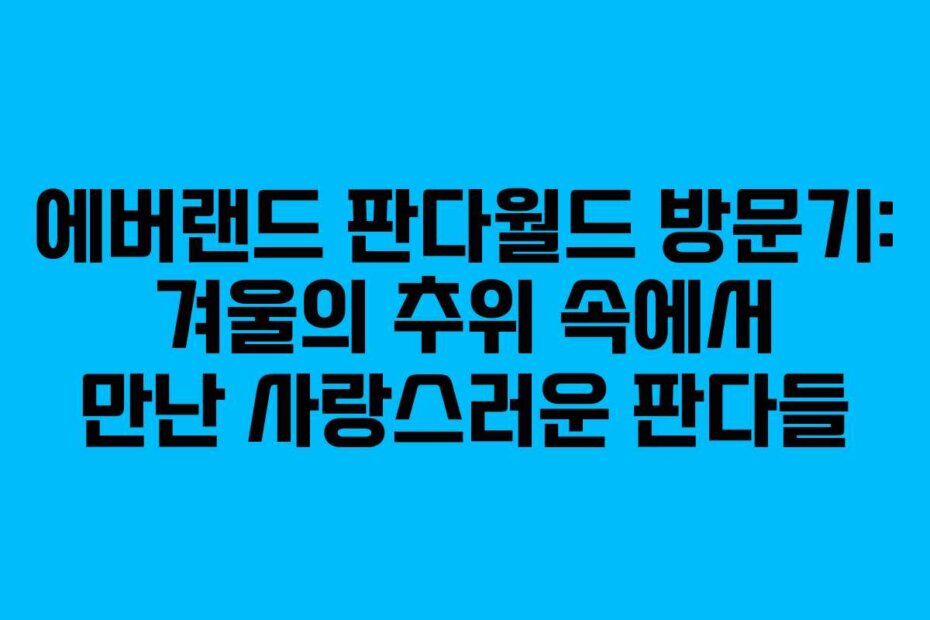 에버랜드 판다월드 방문기: 겨울의 추위 속에서 만난 사랑스러운 판다들
