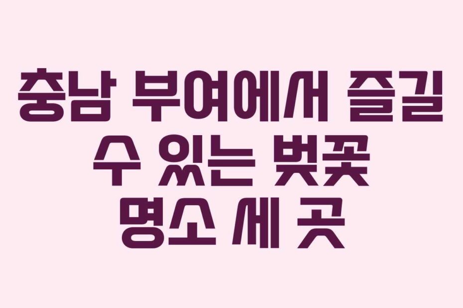 충남 부여에서 즐길 수 있는 벚꽃 명소 세 곳