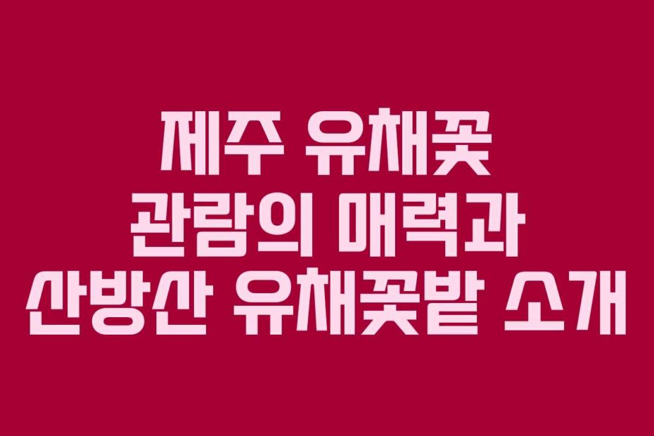 제주 유채꽃 관람의 매력과 산방산 유채꽃밭 소개