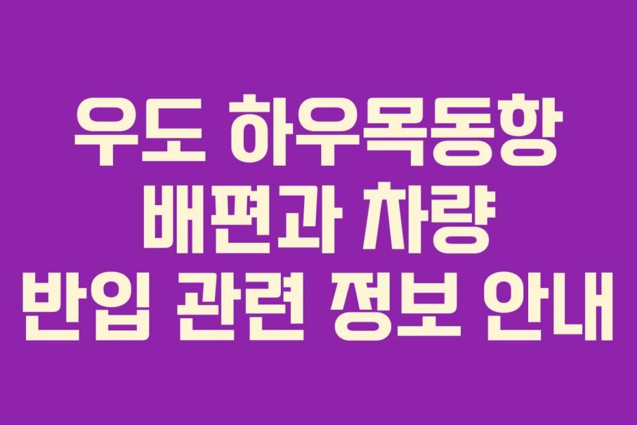 우도 하우목동항 배편과 차량 반입 관련 정보 안내