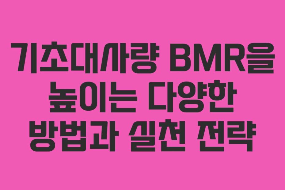 기초대사량 BMR을 높이는 다양한 방법과 실천 전략