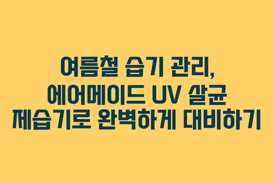 여름철 습기 관리, 에어메이드 UV 살균 제습기로 완벽하게 대비하기