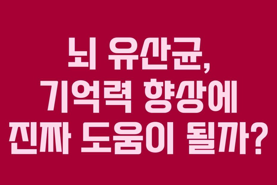 뇌 유산균, 기억력 향상에 진짜 도움이 될까?