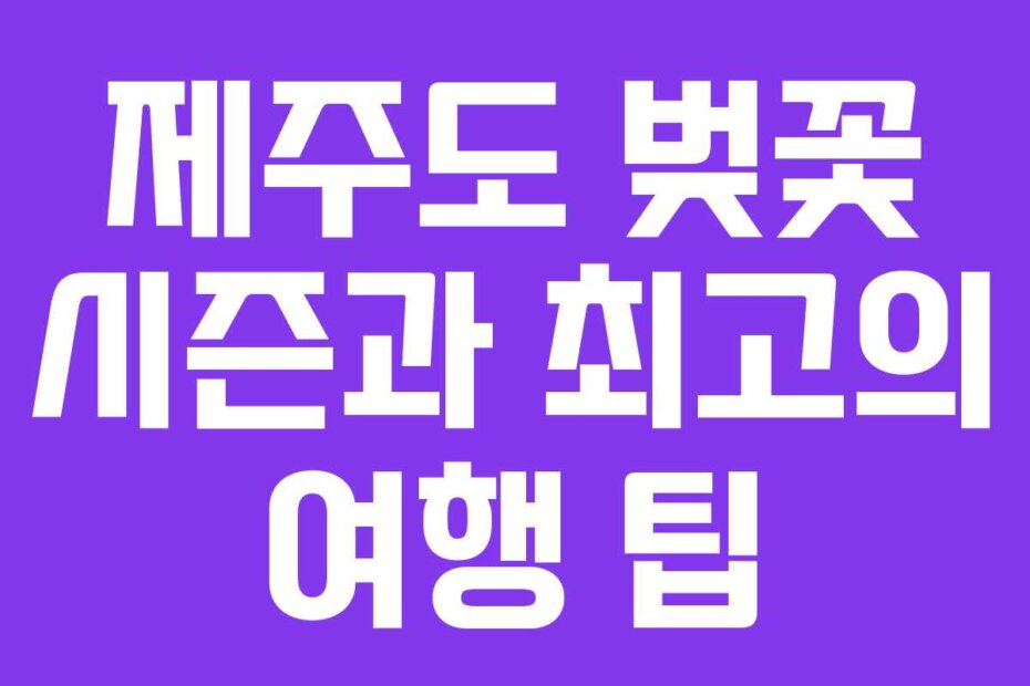 제주도 벚꽃 시즌과 최고의 여행 팁