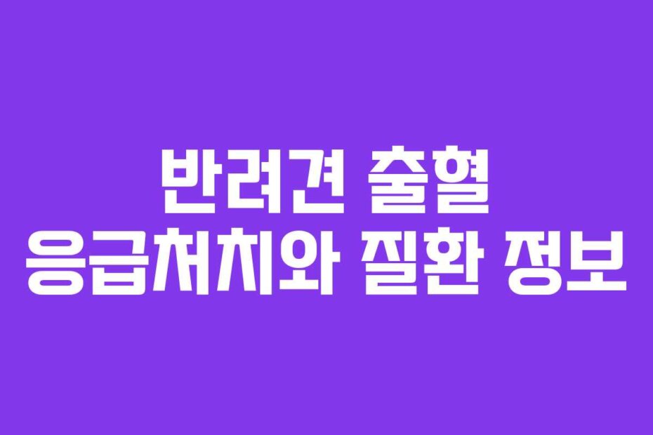 반려견 출혈 응급처치와 질환 정보