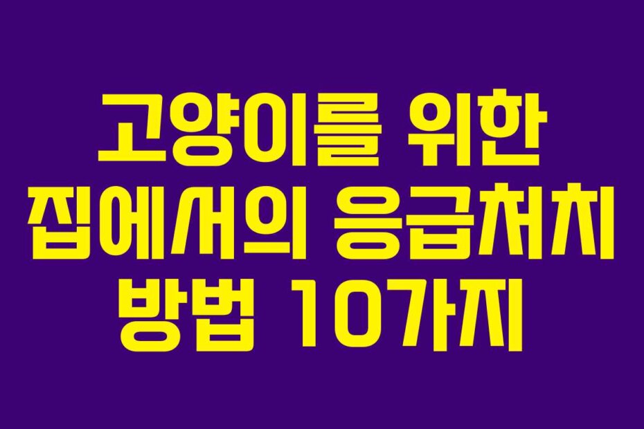 고양이를 위한 집에서의 응급처치 방법 10가지