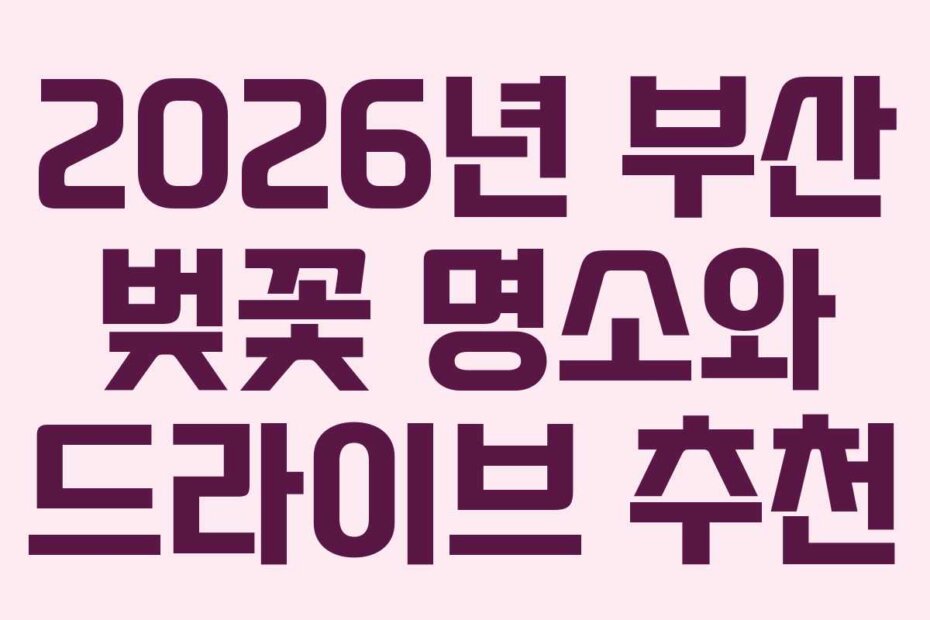 2026년 부산 벚꽃 명소와 드라이브 추천