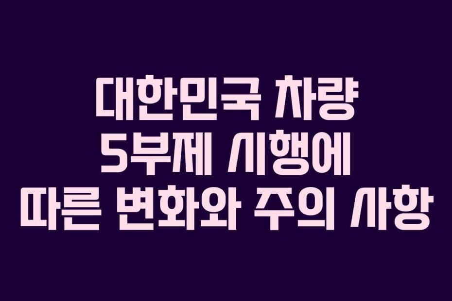 대한민국 차량 5부제 시행에 따른 변화와 주의 사항