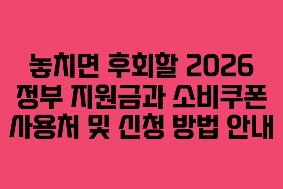 놓치면 후회할 2026 정부 지원금과 소비쿠폰 사용처 및 신청 방법 안내