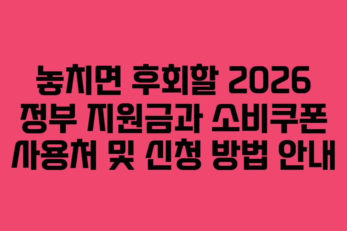 놓치면 후회할 2026 정부 지원금과 소비쿠폰 사용처 및 신청 방법 안내