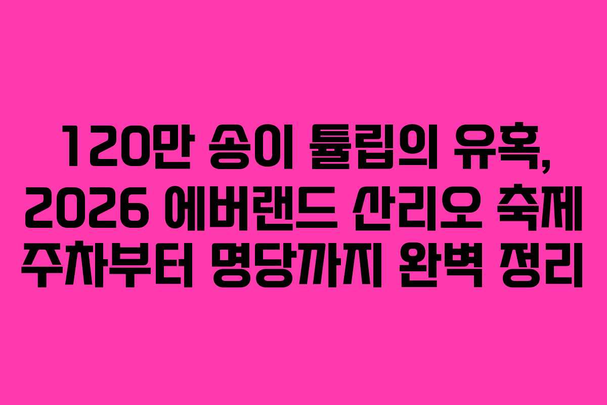 120만 송이 튤립의 유혹, 2026 에버랜드 산리오 축제 주차부터 명당까지 완벽 정리