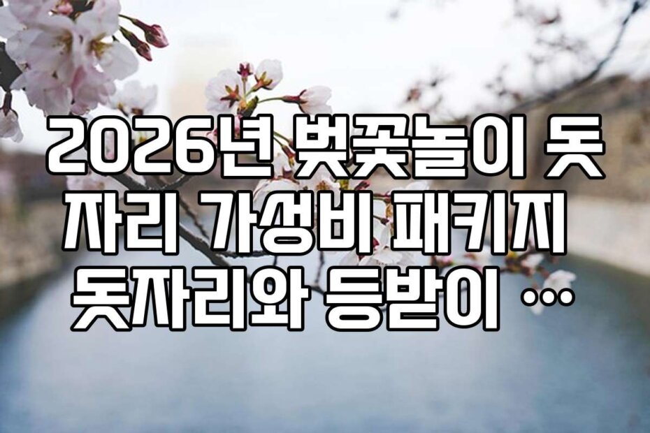 2026년 벚꽃놀이 돗자리 가성비 패키지 돗자리와 등받이 의자 조합