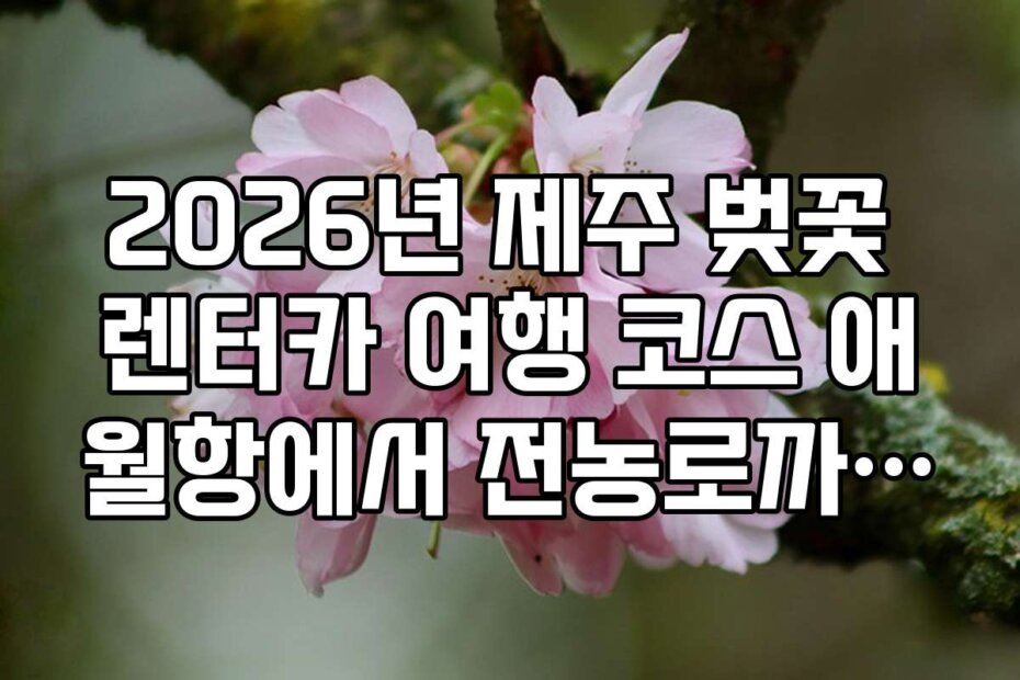 2026년 제주 벚꽃 렌터카 여행 코스 애월항에서 전농로까지 최단 경로