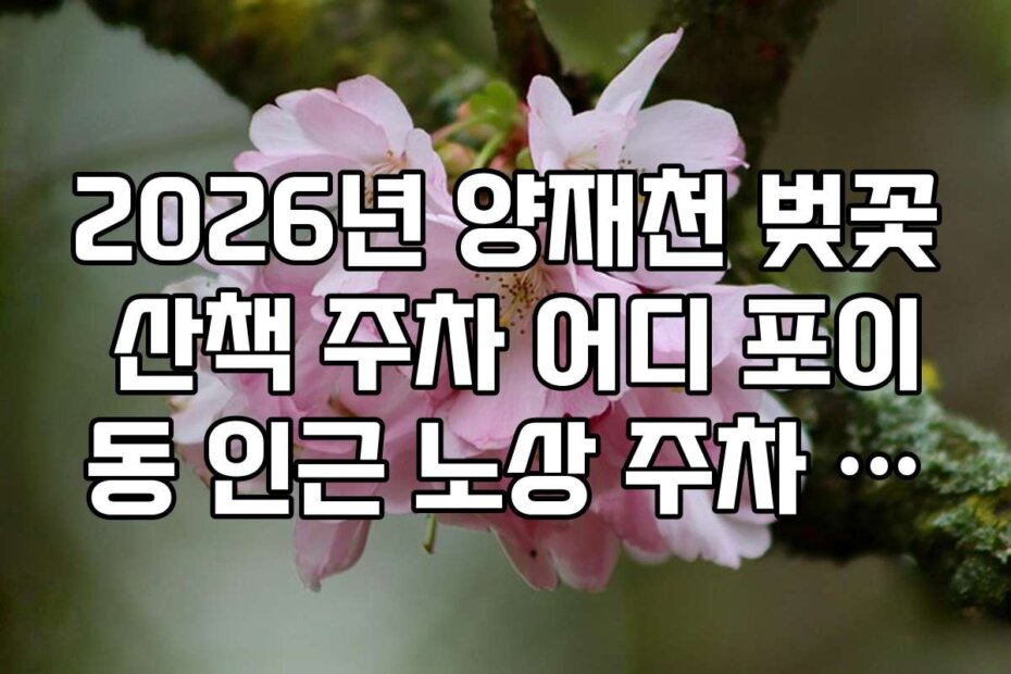 2026년 양재천 벚꽃 산책 주차 어디 포이동 인근 노상 주차 명당