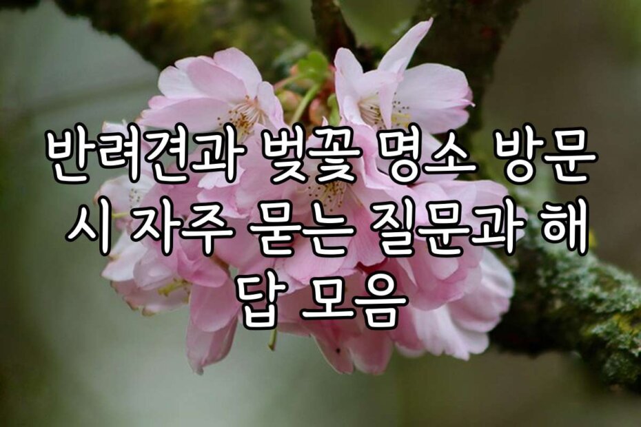 반려견과 벚꽃 명소 방문 시 자주 묻는 질문과 해답 모음