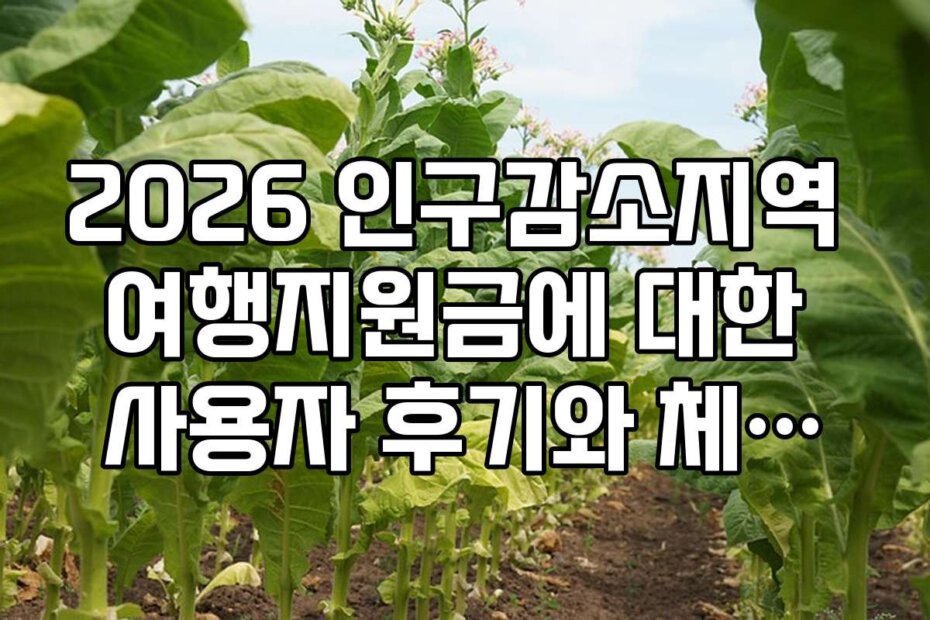 2026 인구감소지역 여행지원금에 대한 사용자 후기와 체험담 모음