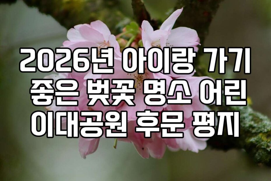 2026년 아이랑 가기 좋은 벚꽃 명소 어린이대공원 후문 평지