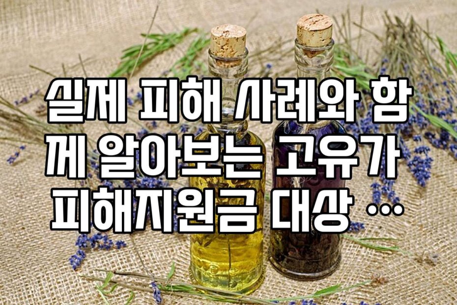 실제 피해 사례와 함께 알아보는 고유가 피해지원금 대상 확인 후기