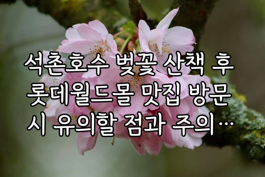 석촌호수 벚꽃 산책 후 롯데월드몰 맛집 방문 시 유의할 점과 주의사항 정리